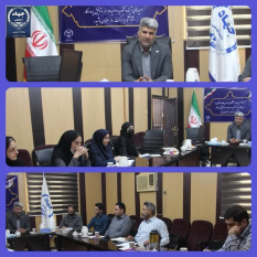 تشکیل کمیته امدادرسانی به آسیب دیدگان حادثه مجتمع بندری شهید رجایی بندرعباس